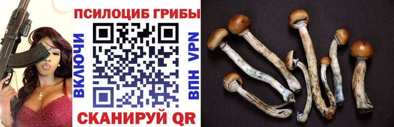 купить наркотик  Эртиль  MEGA   Галлюциногенные грибы ЛСД 