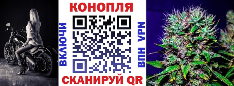 Бошки марихуана ГИДРОПОН  Эртиль 
